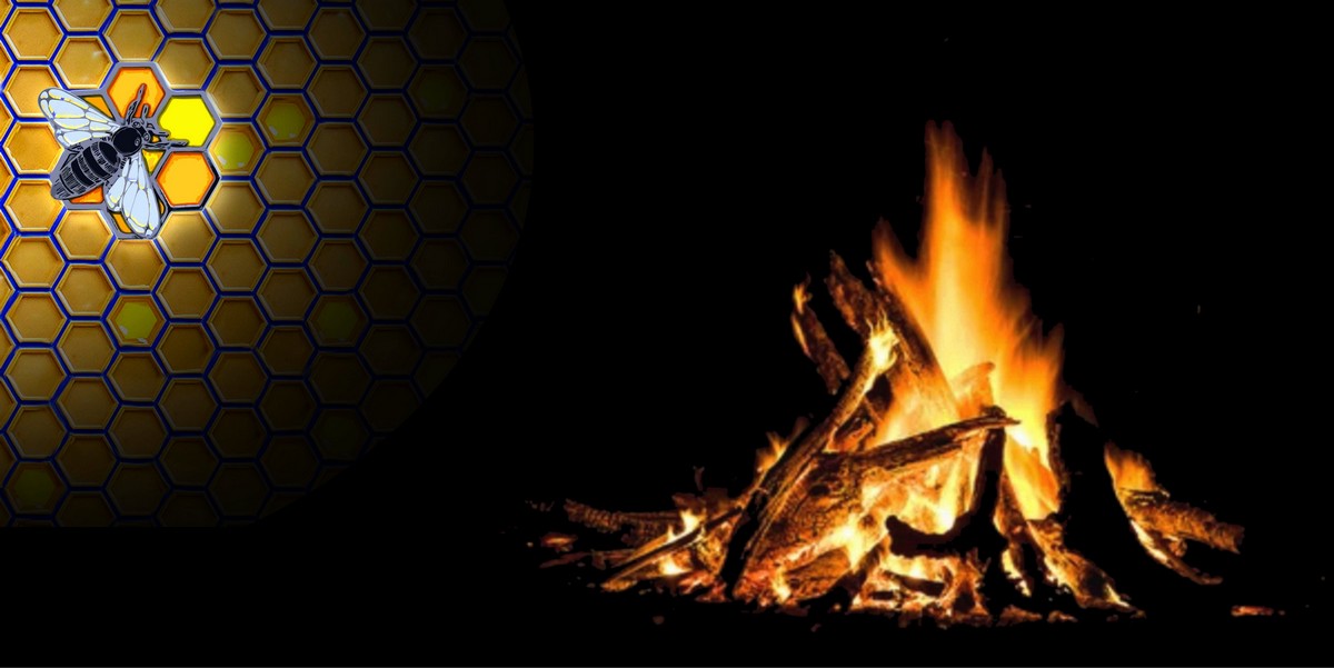 Včelí párty u ohně